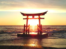 ○○○祭りイメージ